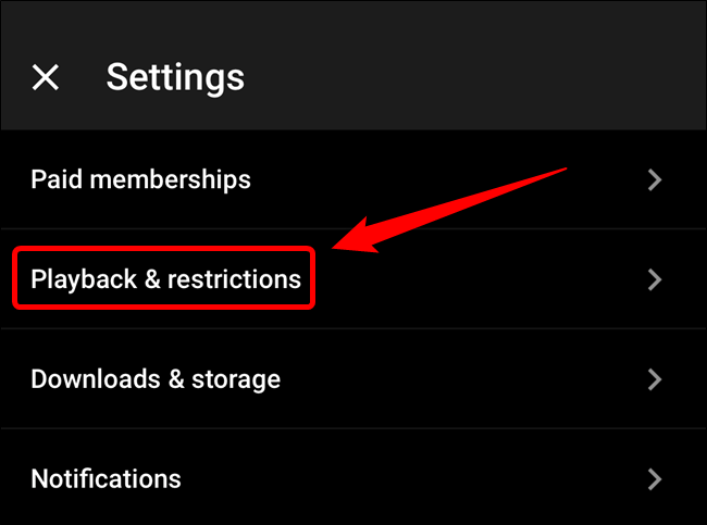 Tap the "Playback & Restrictions" option