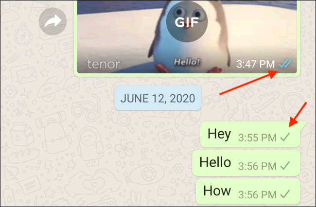 what does whatsapp check marks mean