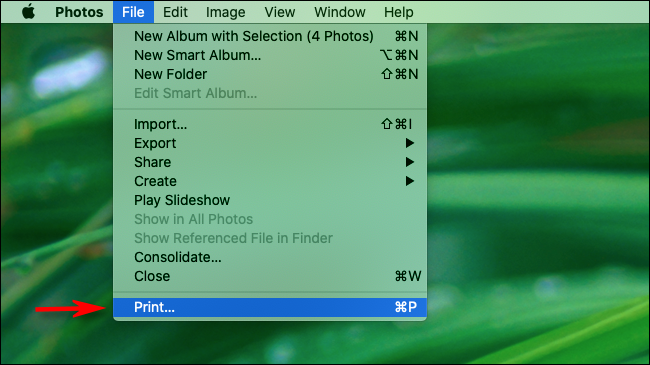 Select File and Print in the Menu Bar in Photos on Mac
