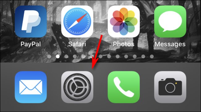 Tap the Gear icon on iPhone.