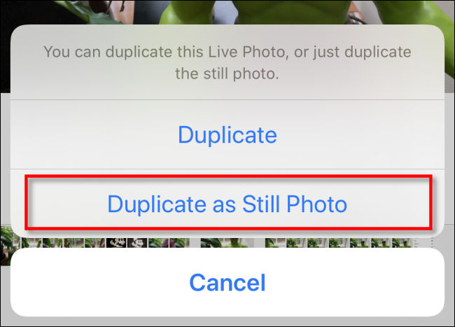 Tap "Duplicate as Still Photo" in Photos on iPhone.