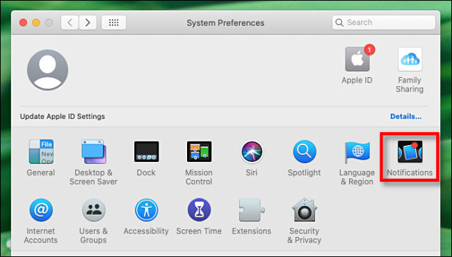 In System Preferences on Mac, Select "Notifications."