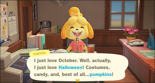 ACNH Isabelle pumpkin announcement