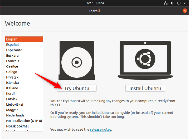 Click "Try Ubuntu" on the Install screen